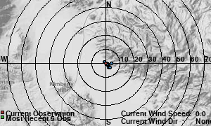 Wind Rose
