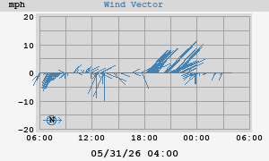 Wind Vector